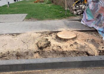 CREATOR: gd-jpeg v1.0 (using IJG JPEG v62), quality = 90